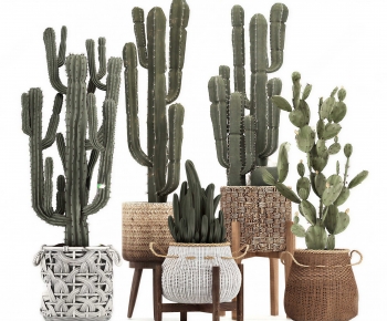 Modern Potted Green Plant-ID:746378976