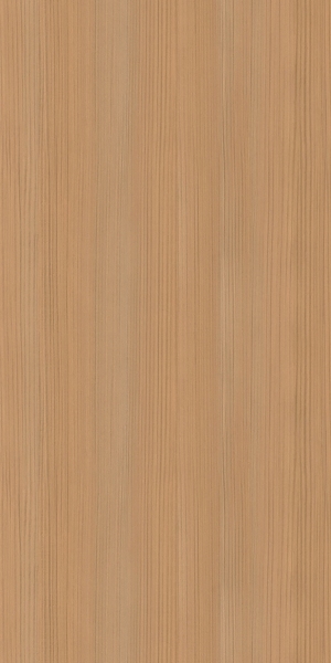 ModernWood Texture