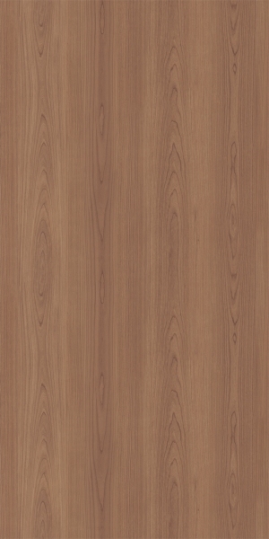 ModernWood Texture