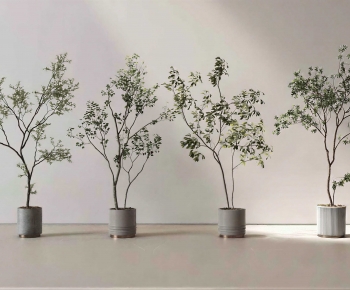 Modern Ground Green Plant Potted Plants-ID:567967896