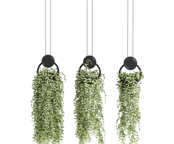 Modern Chlorophytum Comosum-ID:754952914