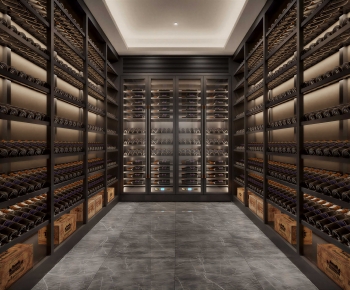 Modern Wine Cellar/Wine Tasting Room-ID:995383024