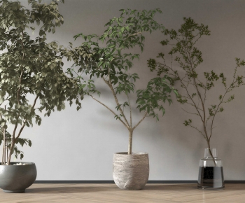 Modern Ground Green Plant Potted Plants-ID:109092008