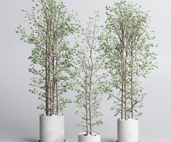 Modern Ground Green Plant Potted Plants-ID:865006927