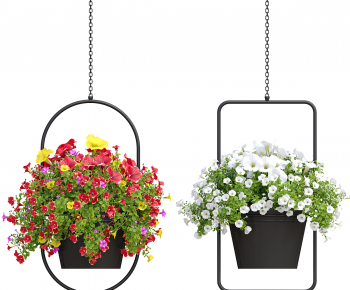 Modern Chlorophytum Comosum-ID:529592998