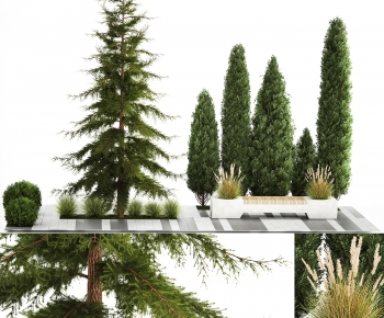 Modern Tree-ID:442990068