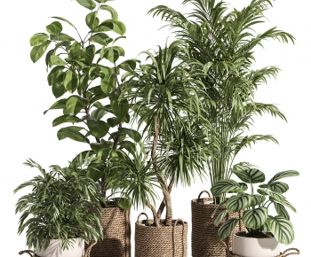 Modern Ground Green Plant Potted Plants-ID:163520102