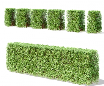 Modern Shrubbery-ID:680282125