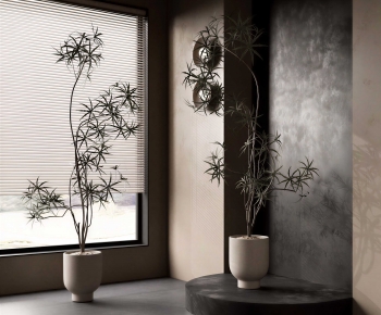 Wabi-sabi Style Ground Green Plant Potted Plants-ID:275557994