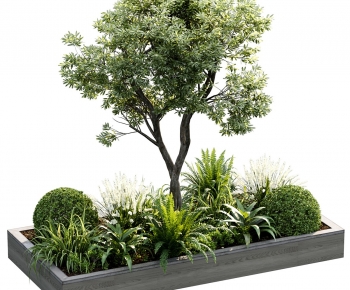 Modern Flower Bed, Flower Bowl, Flower Box-ID:768851043