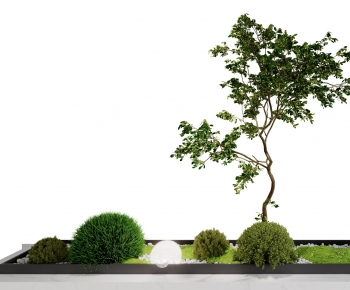 Modern Plant Landscaping-ID:509588964