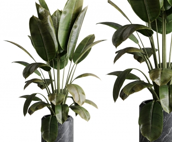 Modern Ground Green Plant Potted Plants-ID:990833046