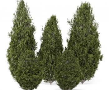 Modern Tree-ID:516659988