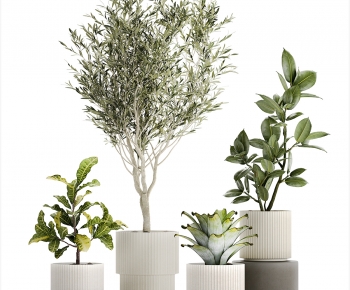 Modern Ground Green Plant Potted Plants-ID:574947124