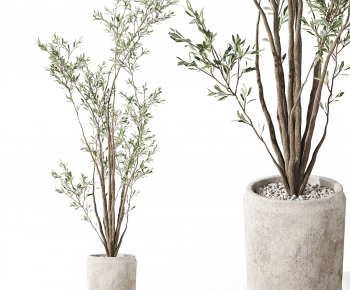 Modern Ground Green Plant Potted Plants-ID:100340837