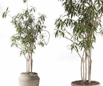 Modern Ground Green Plant Potted Plants-ID:839003092