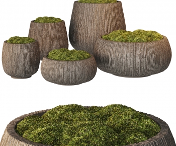 Modern Desktop Plant-ID:839601996