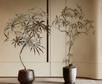 New Chinese Style Ground Green Plant Potted Plants-ID:535707956