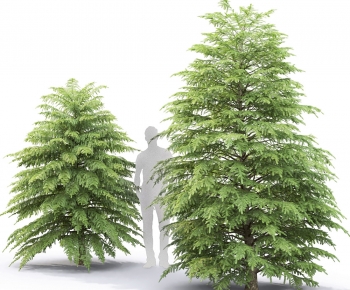 Modern Tree-ID:196573972