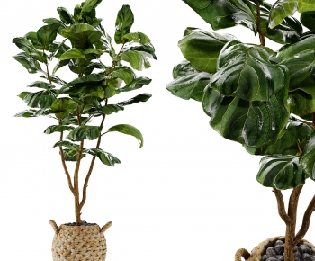 Modern Ground Green Plant Potted Plants-ID:816191919