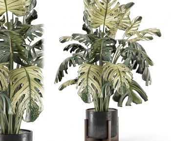 Modern Ground Green Plant Potted Plants-ID:799906024