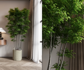 Modern Ground Green Plant Potted Plants-ID:459153898