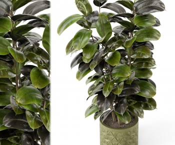 Modern Ground Green Plant Potted Plants-ID:265492927