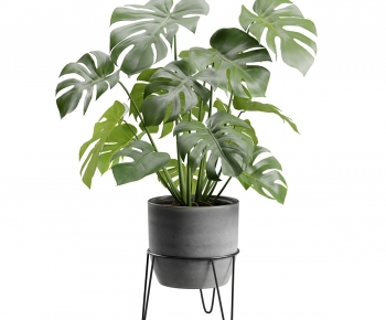 Modern Potted Green Plant-ID:789256102