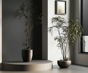 Modern Ground Green Plant Potted Plants-ID:204593906