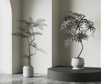 Modern Ground Green Plant Potted Plants-ID:939932115