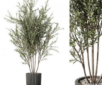 Modern Ground Green Plant Potted Plants-ID:589664944