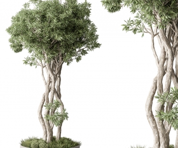 Modern Ground Green Plant Potted Plants-ID:907988071