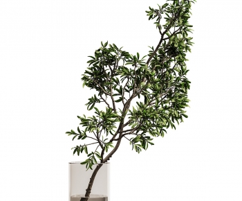 Modern Aquatic Green Plant-ID:627002009