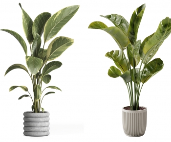 Modern Ground Green Plant Potted Plants-ID:588399895