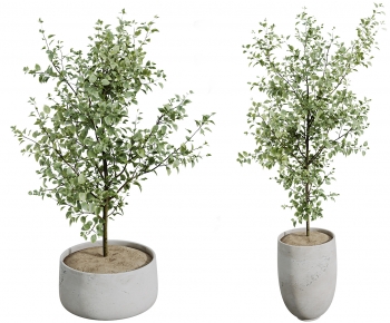 Modern Ground Green Plant Potted Plants-ID:639766934