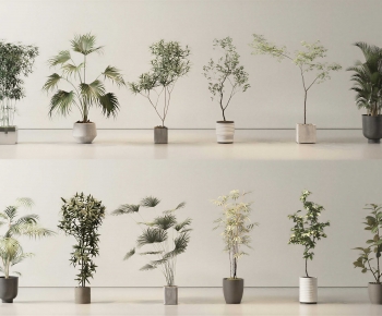 Modern Ground Green Plant Potted Plants-ID:792046078