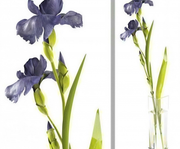 Modern Flower Arrangement-ID:973639512