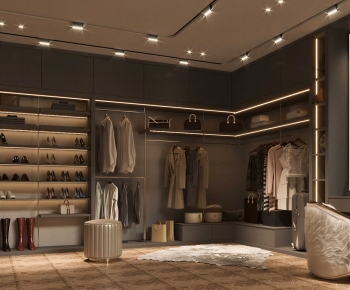 Modern Clothes Storage Area-ID:214163069