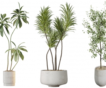 Modern Ground Green Plant Potted Plants-ID:800848966