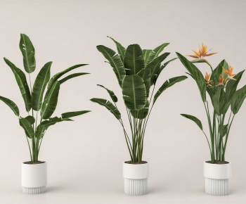 Modern Ground Green Plant Potted Plants-ID:930991894