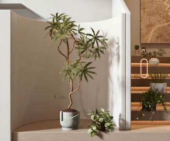 Modern Ground Green Plant Potted Plants-ID:757344961