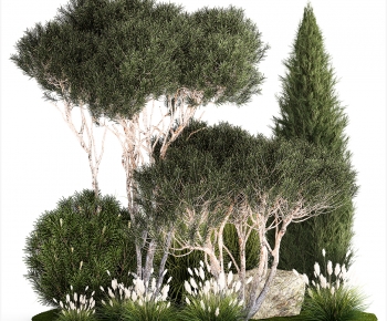 Modern Plant Pile-ID:842230085