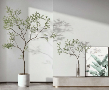 Modern Ground Green Plant Potted Plants-ID:351736078