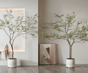 Modern Ground Green Plant Potted Plants-ID:240345008