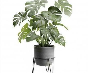 Modern Ground Green Plant Potted Plants-ID:519227987