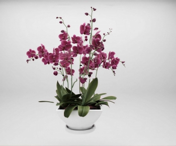 New Chinese Style Potted Green Plant-ID:964688064