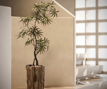 Modern Ground Green Plant Potted Plants-ID:351907015