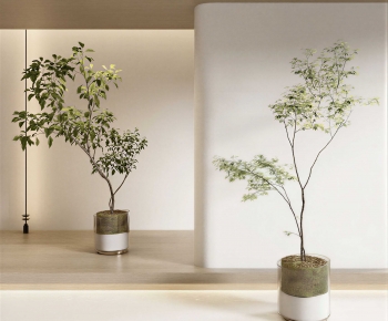 Modern Ground Green Plant Potted Plants-ID:794091945