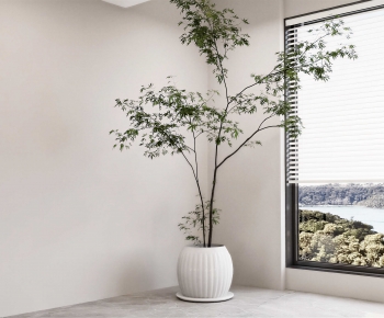 Modern Ground Green Plant Potted Plants-ID:338103063