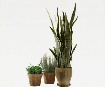 Modern Potted Green Plant-ID:487759111